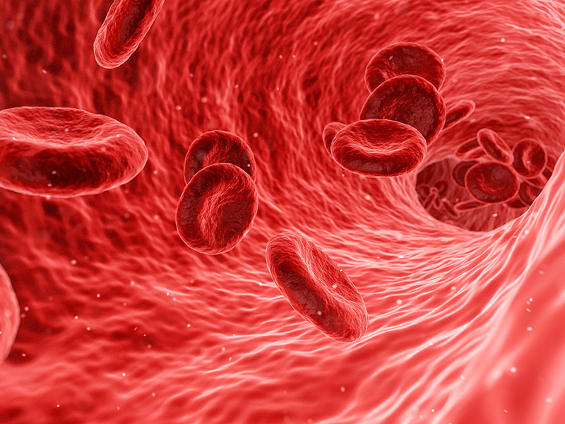 血浆和血细胞